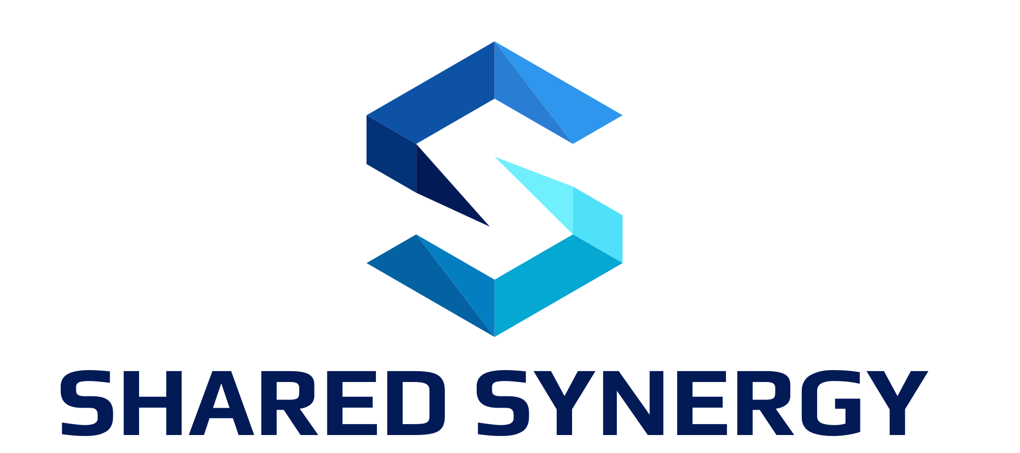 Shared Synergy Logo